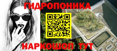 наркотики Кингисепп