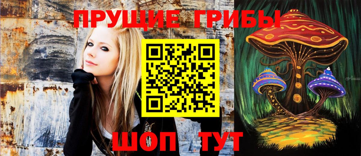 Галлюциногенные грибы GOLDEN TEACHER Конаково