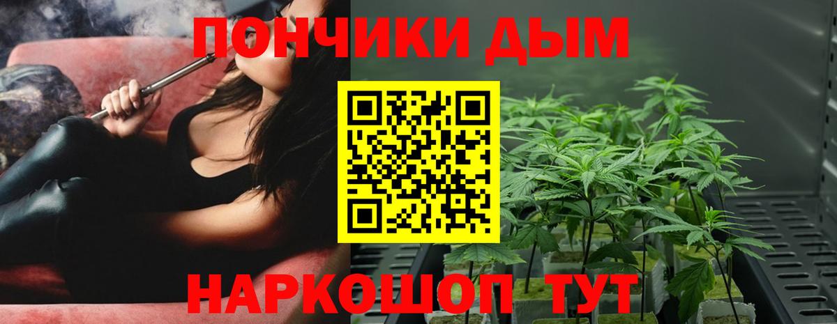 Канабис SATIVA & INDICA Конаково